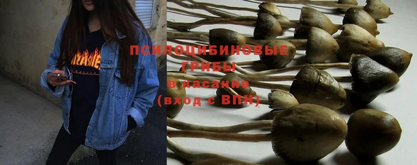 мяу мяу мука Горно-Алтайск