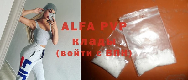 ECSTASY Вяземский