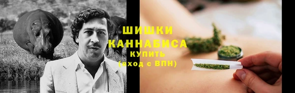 мяу мяу мука Горно-Алтайск