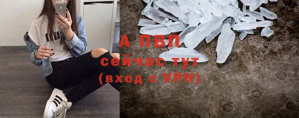 мяу мяу мука Горно-Алтайск