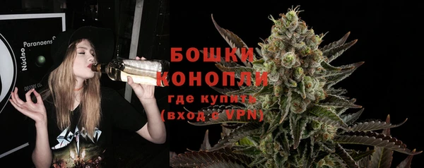первитин Горняк