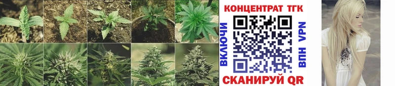 Купить  Среднеколымск  ТГК гашишное масло 