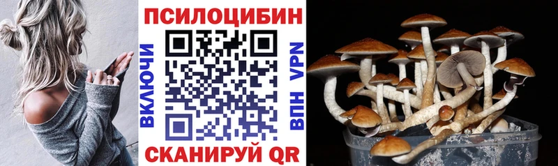 Купить закладки  Среднеколымск  Галлюциногенные грибы прущие грибы 